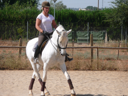 Dressage Break Cheshire